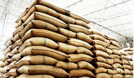 Special task force to check spurious seed sales in Telangana’s Siddipet