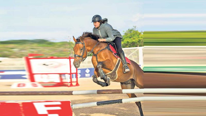 Horse riding clubs of Hyderabad put up their best equestrian show