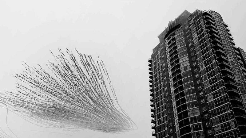 Hyderabad-origin photographer wins 1st place in 35Awards global photography contest