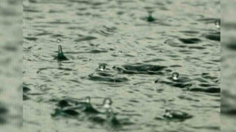 Unseasonal rains hit several places in erstwhile Karimnagar