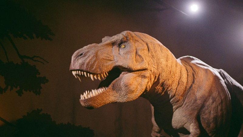 New Study Traces T-Rex's Origins to Asia and Links Gigantic Size to Climate Shift