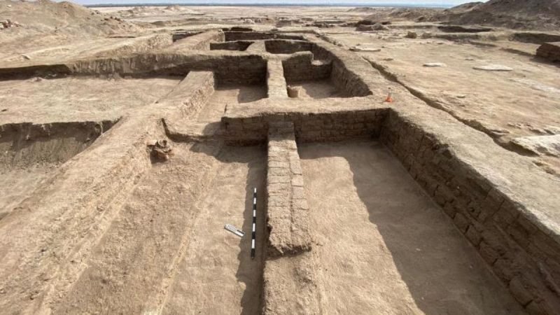 New Study eries Reveal Ancient Egyptian Fortress Once Lined with 500 Trees