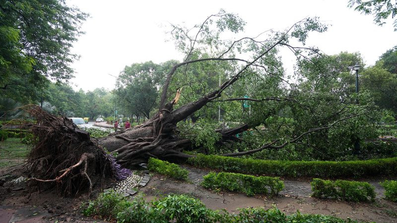 Heavy rain disrupts life in Delhi; IMD issues red alert