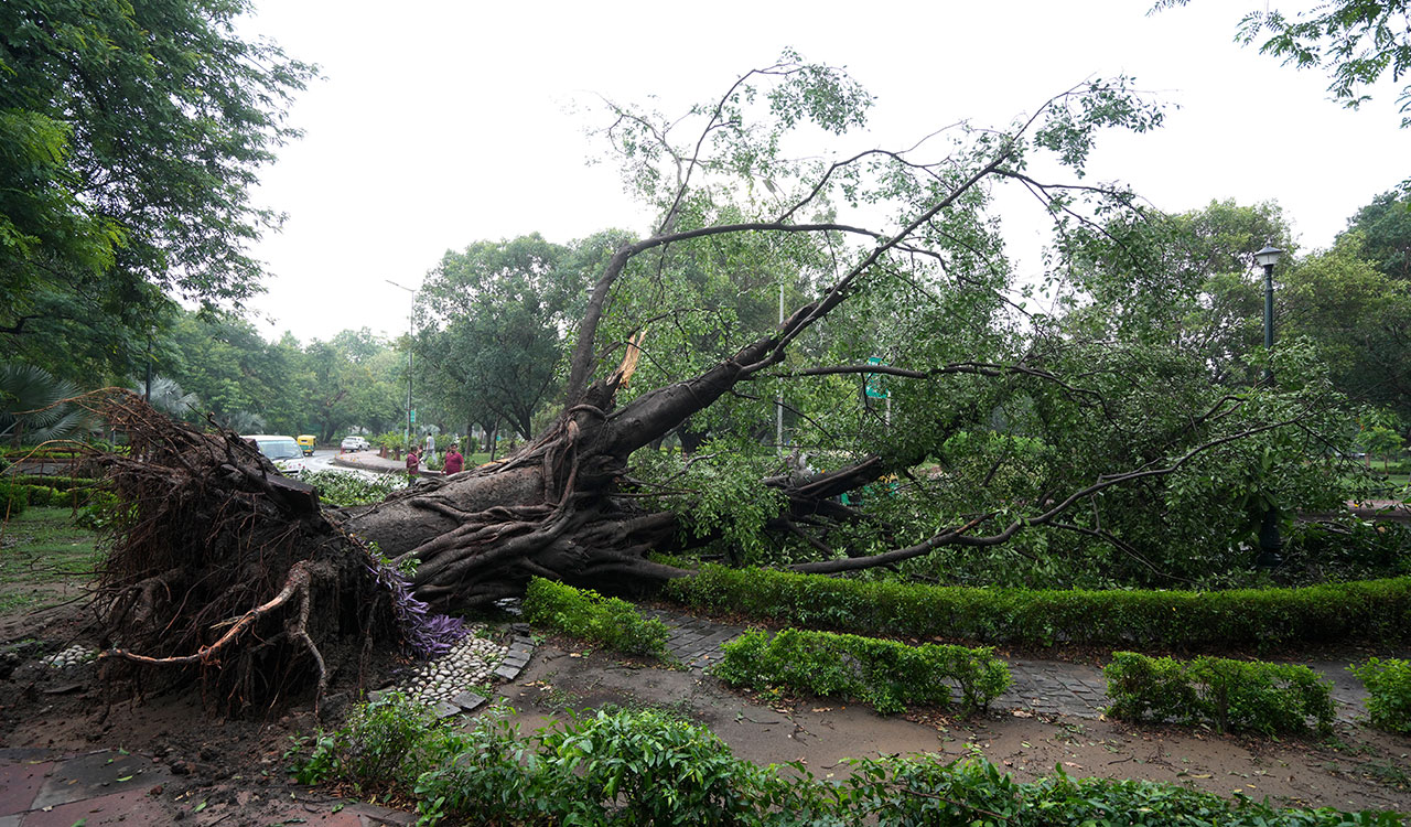 Heavy rain disrupts life in Delhi; IMD issues red alert