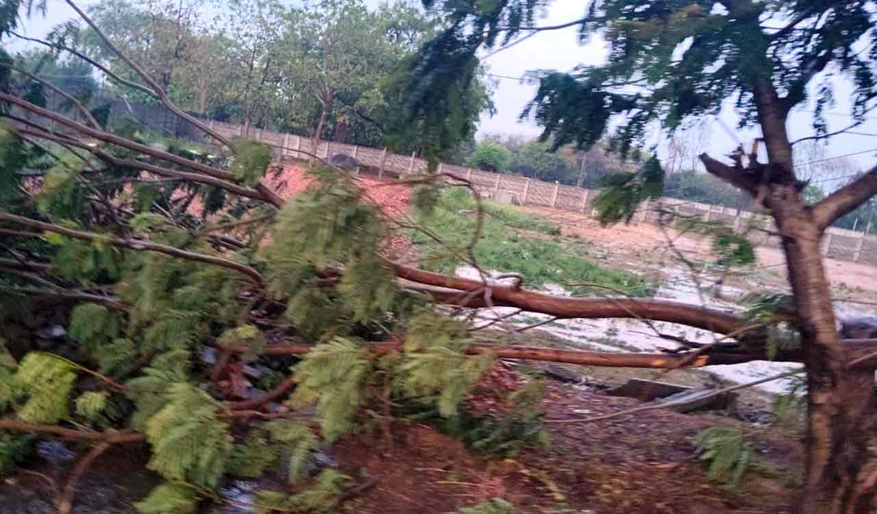 Telangana: Rains flood paddy procurement centres across erstwhile Medak district