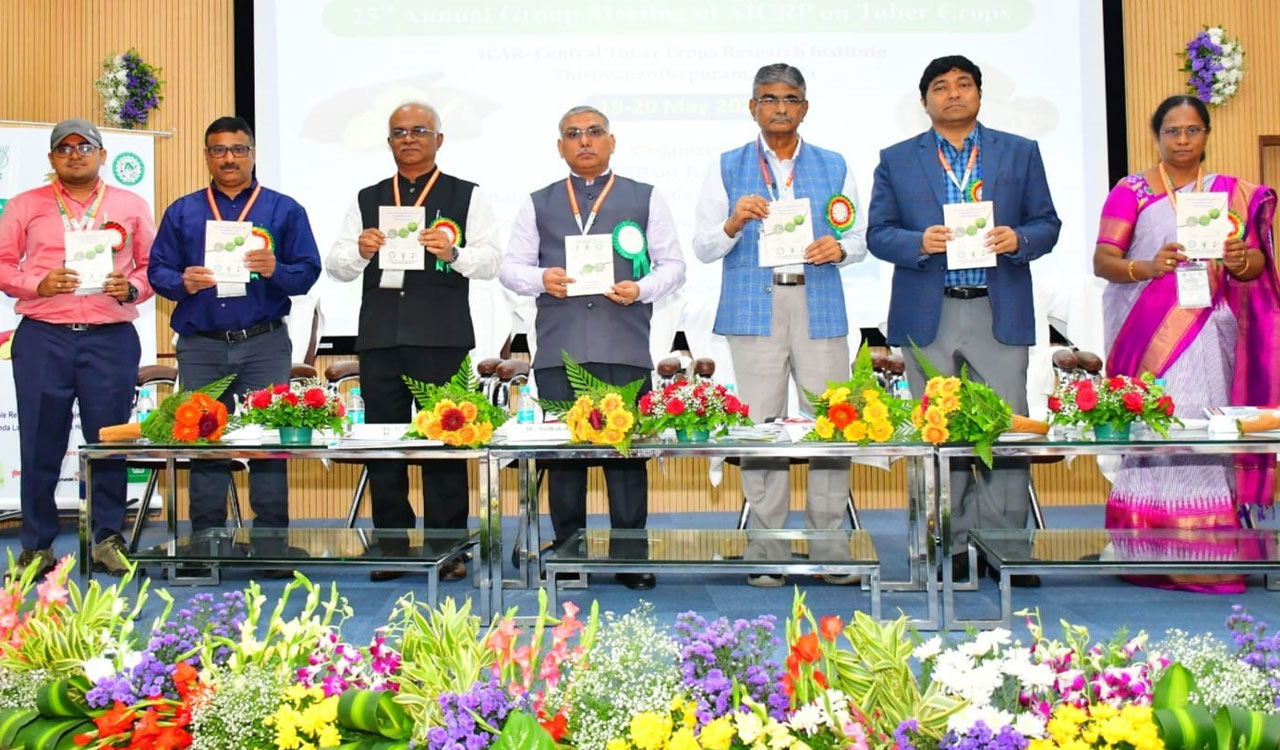 Tuber crop vegetable Cultivation to achieve nutritional security, export opportunities, says skltshu Vice Chancellor