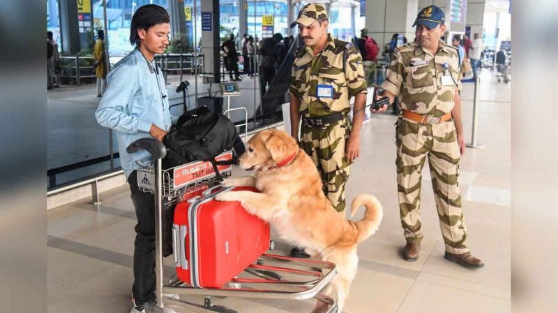 India-Pakistan tensions: Visitors’ entry at airport terminal buildings banned across India