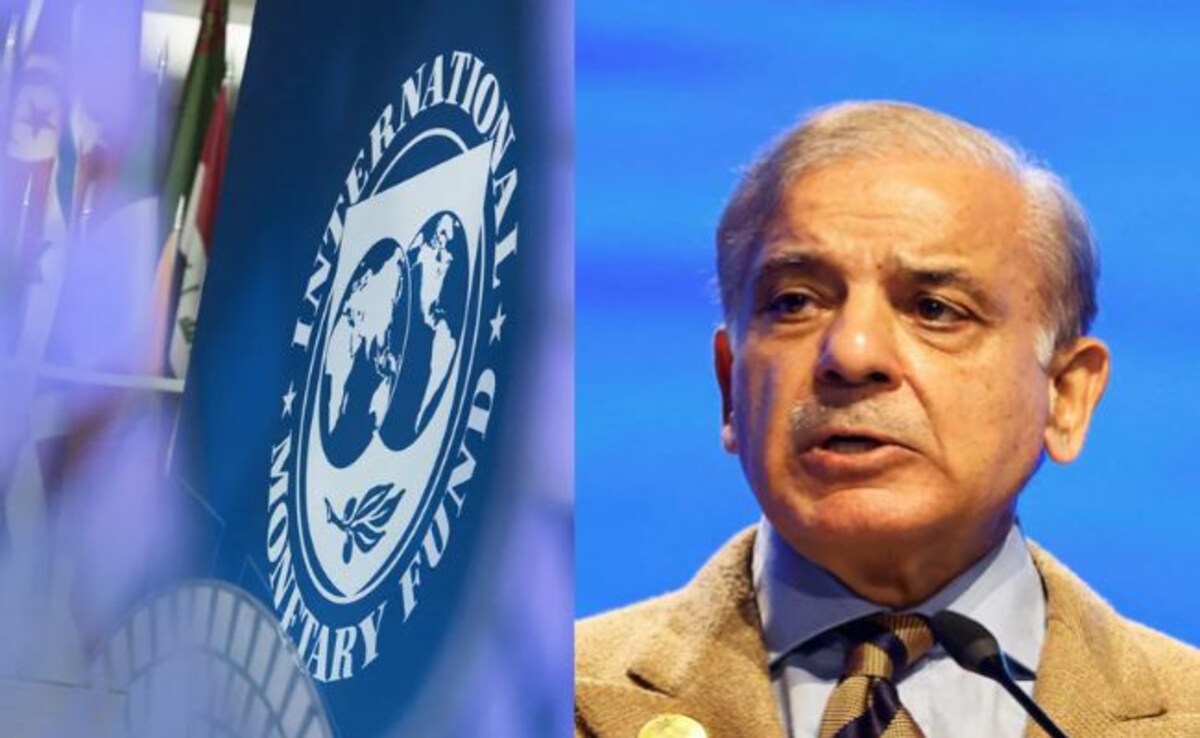 'Pakistan Not Allowed To…': IMF Explains $2.3 Billion Bailout Payments