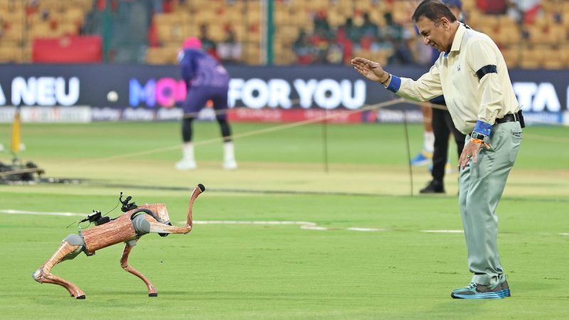 BCCI Sued After Naming IPL Robotic Dog 'Champak' – Everything You Need To Know