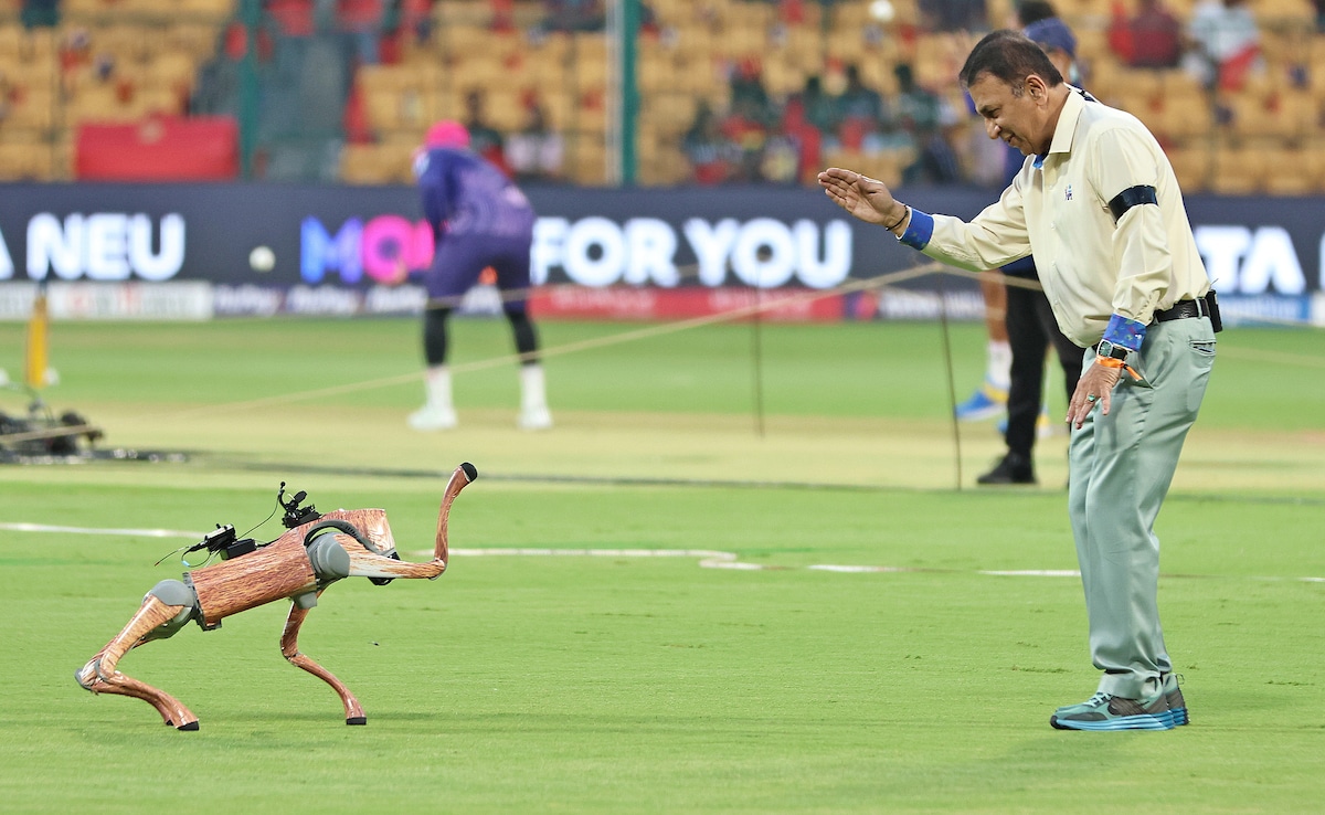BCCI Sued After Naming IPL Robotic Dog 'Champak' – Everything You Need To Know