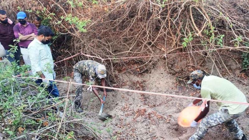 Asifabad forest officials still clueless over identity of electrocuted wild animal