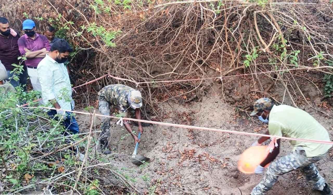 Asifabad forest officials still clueless over identity of electrocuted wild animal