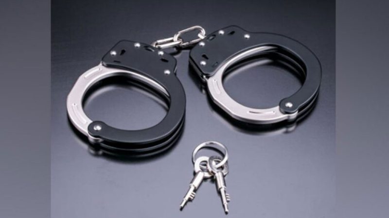 Indian man pleads guilty to staging fake robberies across U.S. for immigration visa fraud