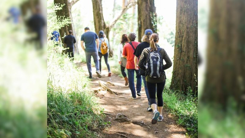 Walk This Way, Your Pace Could Be The Key To Better Health