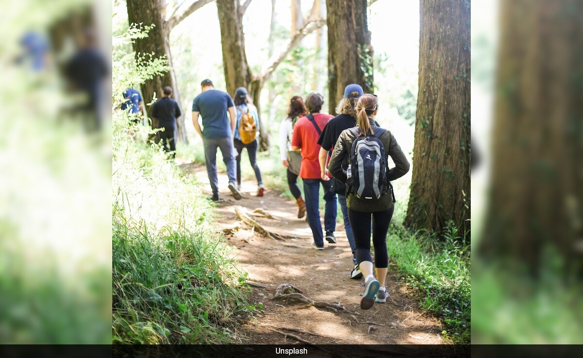 Walk This Way, Your Pace Could Be The Key To Better Health