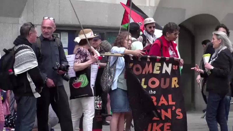 Brits demand release of Palestine Action activists
