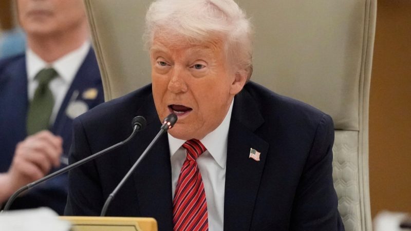 Would Make Gaza A "Freedom Zone", Says Donald Trump In Qatar