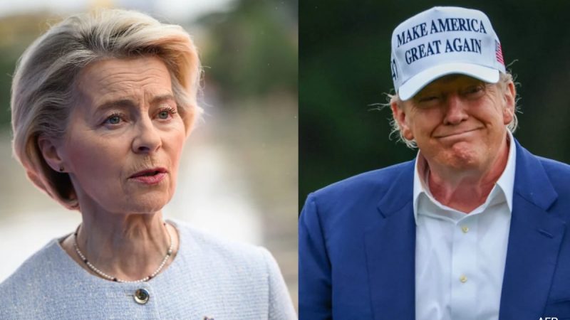 "My Privilege To Do So": Trump's 8-Day Tariff Breather To EU