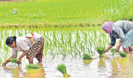 Telangana: CPI demands Congress government to waive pending crop loans