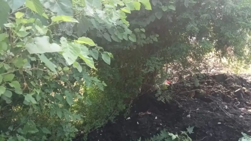 Man, Sleeping Under Tree, Buried Alive As Workers Dump Sludge On Him In UP