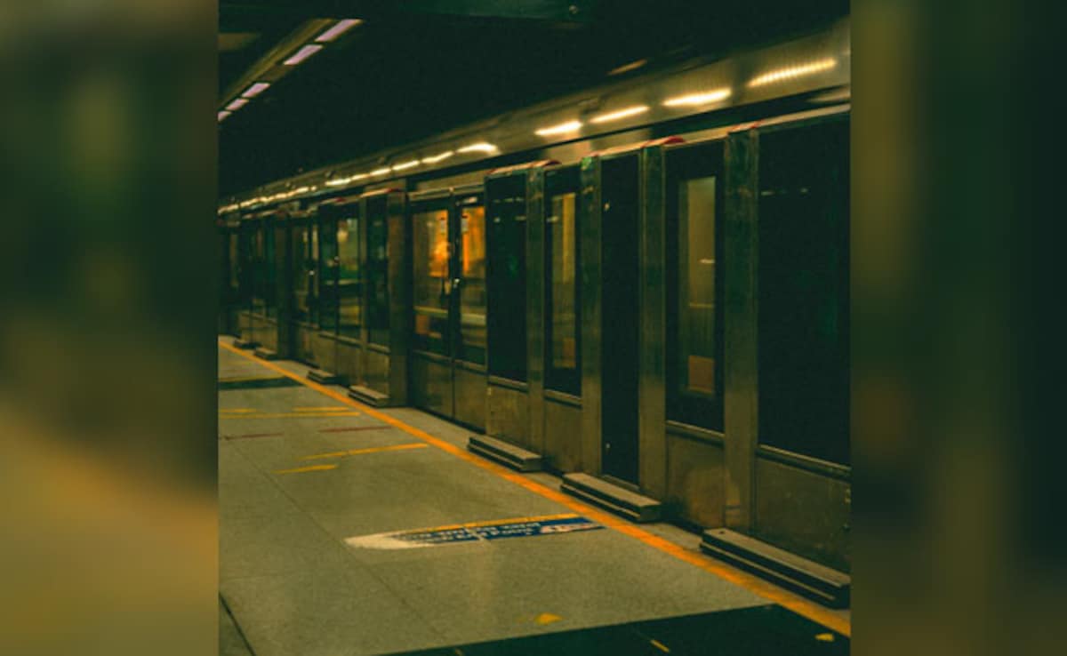 Delhi Metro's Blue Line Services Delayed Due To Technical Snag
