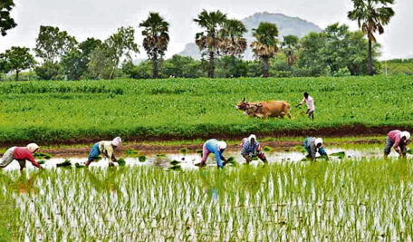Telangana: Extend welfare schemes to tenant farmers, Congress government urged