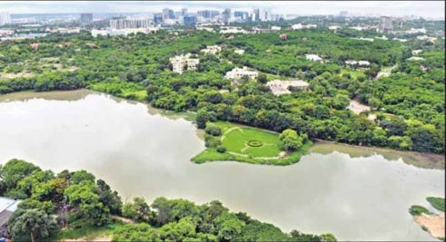 Telangana Forest Development Corporation launches 10-year celebrations