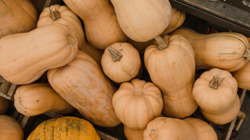 6 Types Of Gourds That Are A Must In Summer