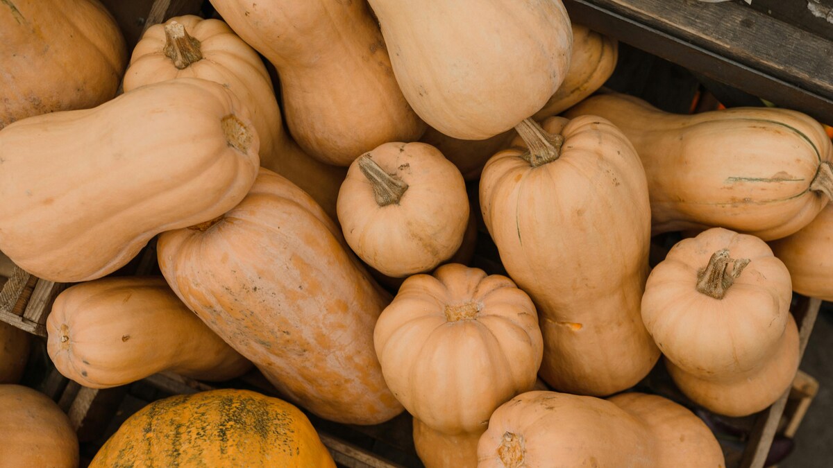 6 Types Of Gourds That Are A Must In Summer