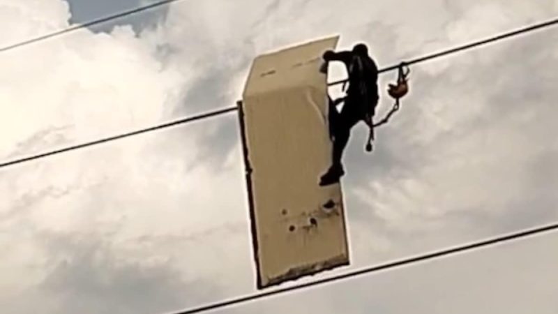 Video: Man Takes Down Signboard Stuck On High-Tension Wire In Noida
