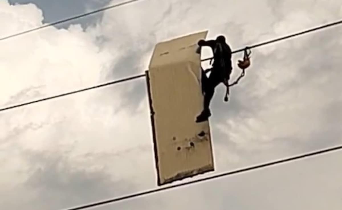Video: Man Takes Down Signboard Stuck On High-Tension Wire In Noida