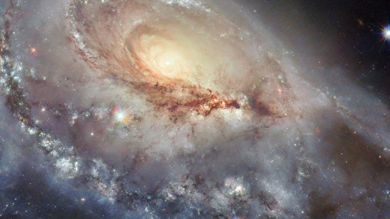 Hubble Captures Stunning Image of Peculiar Spiral Galaxy Arp 184 in Camelopardalis