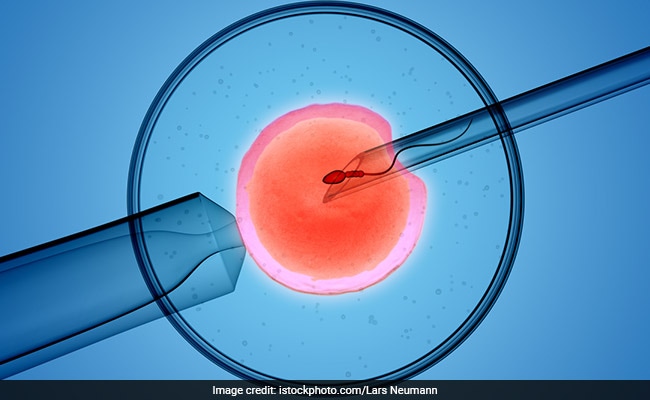 IVF Vs. IUI: Expert Underlines Key Differences