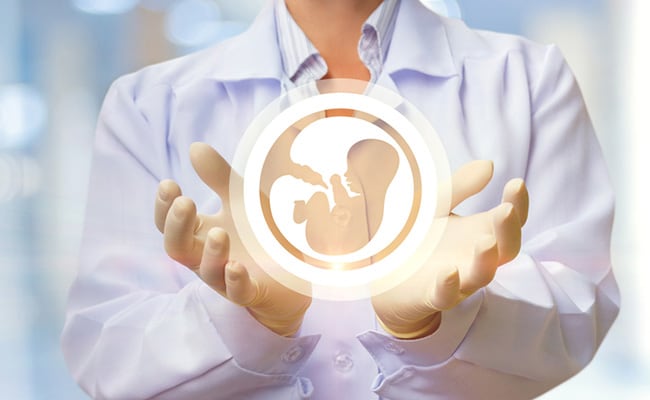 Understanding The Importance Of Egg Freezing For Cancer Patients