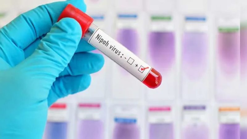 Nipah Virus Case Confirmed In Kerala's Malappuram District, Woman Infected