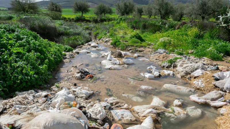 80% Of Plastic Waste In Himalayas From Single-Use Food Packaging: Report