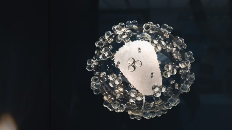 'Selfish' Genes "Introners" A Major Source Of Genetic Complexity: Study