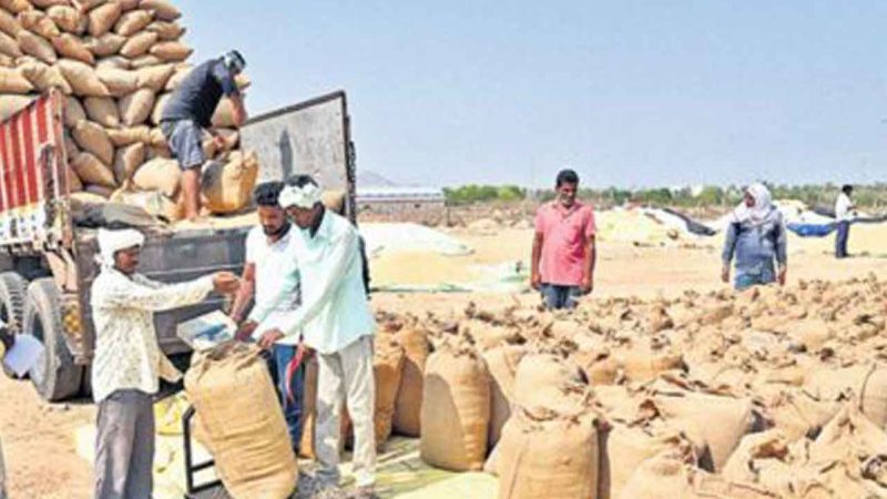 Telangana: Hit by delays in paddy procurement, Rabi farmers cry for attention