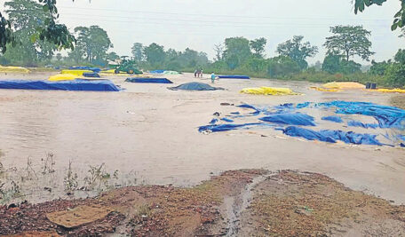 Heavy showers disrupt farm activities across Telangana