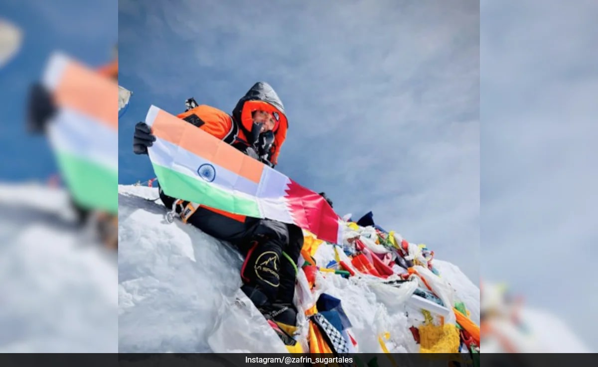"On Top Of The World": Kerala Woman's Journey To Peak Of Mount Everest