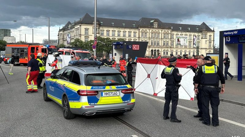39-Year-Old Woman Arrested After Knife Attack In Germany's Hamburg