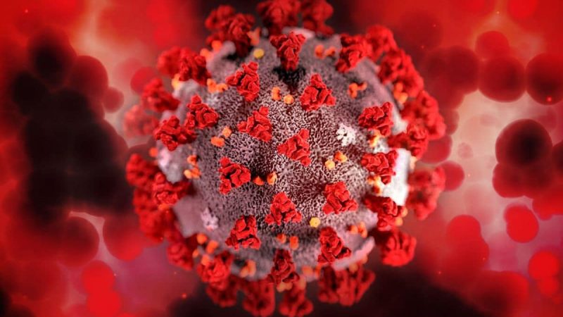 H5N1 Outbreak In The US: Experts Warn Of A Potential Pandemic; Here's How It Spreads