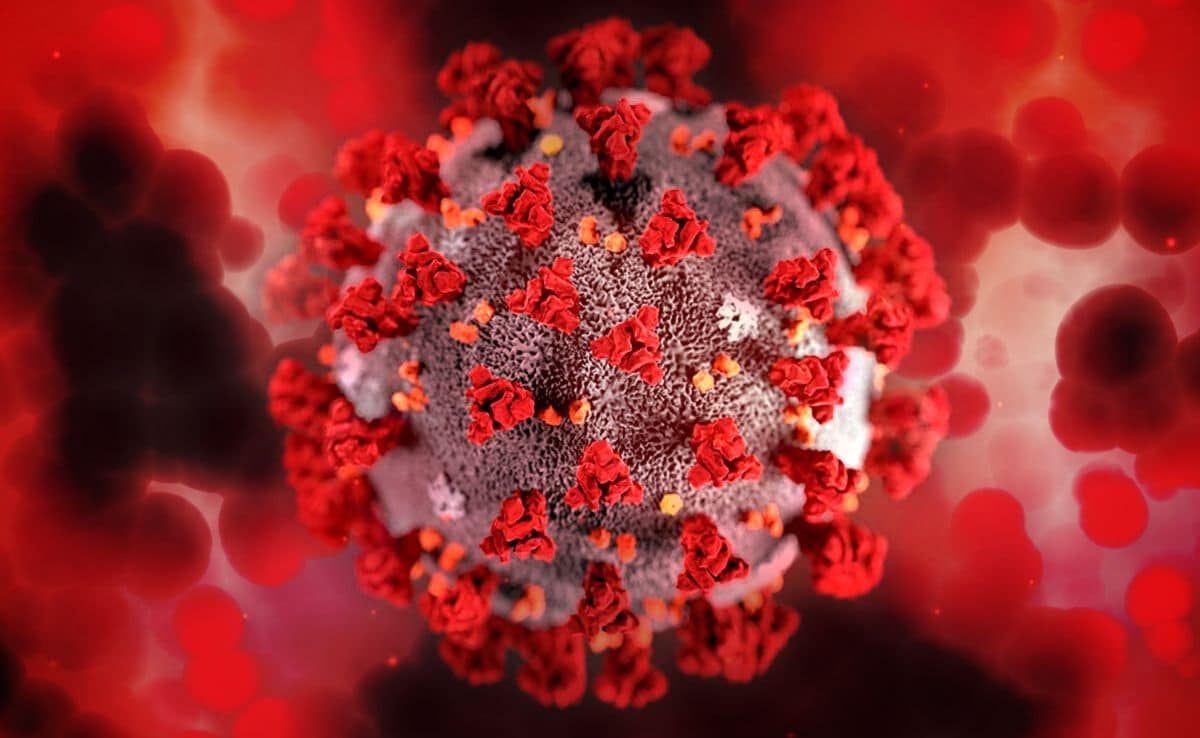 H5N1 Outbreak In The US: Experts Warn Of A Potential Pandemic; Here's How It Spreads