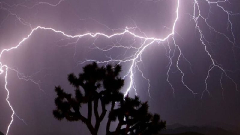 10 killed in lightning strike in Odisha