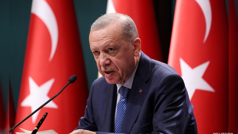 Protests In Turkey, 'Global Statesman' Abroad: Erdogan's 'Parallel Universes'