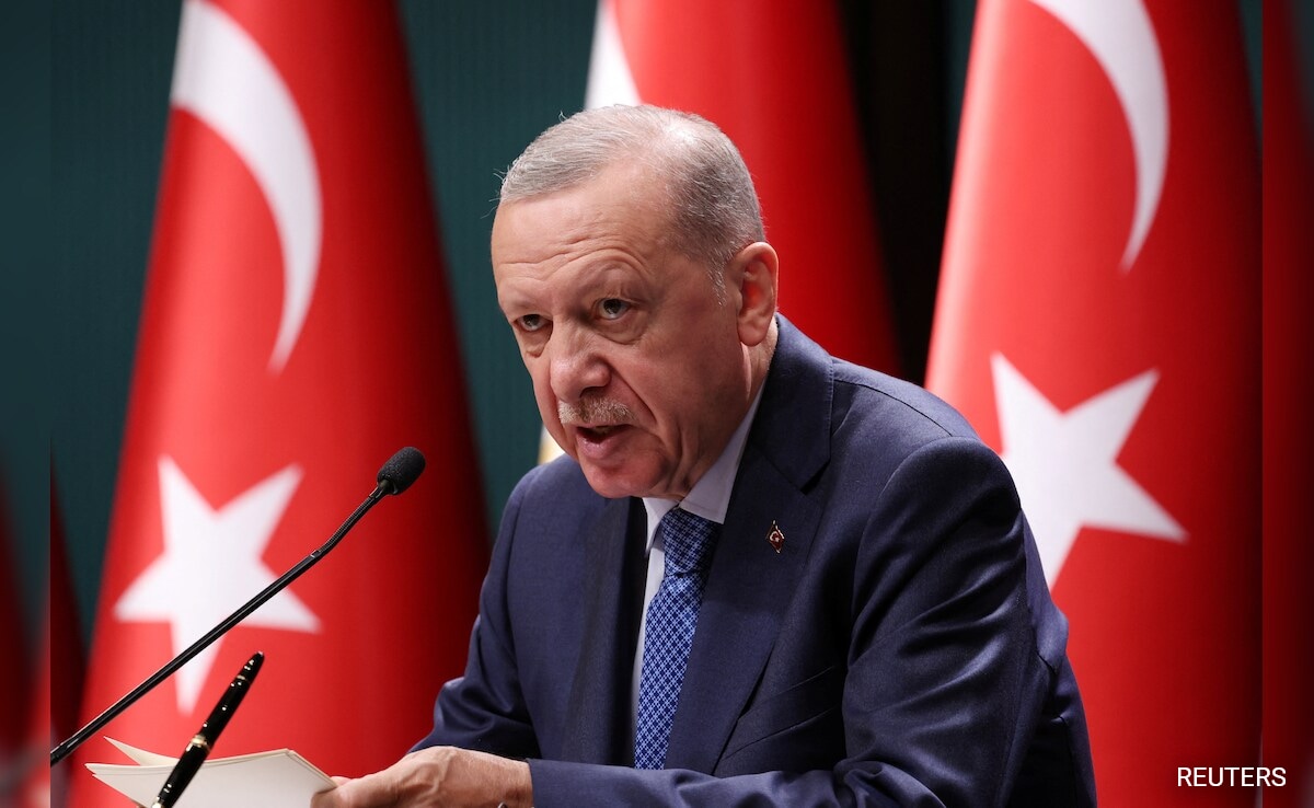 Protests In Turkey, 'Global Statesman' Abroad: Erdogan's 'Parallel Universes'
