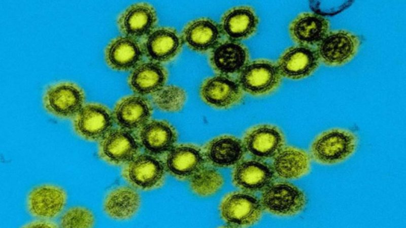 US launches next-generation universal vaccine platform for pandemic-prone viruses