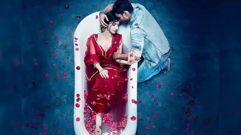 Pakistani Star Mawra Dropped From Sanam Teri Kasam 2 Amid India-Pak Tensions