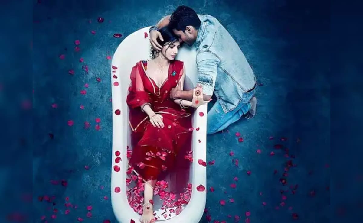 Pakistani Star Mawra Dropped From Sanam Teri Kasam 2 Amid India-Pak Tensions